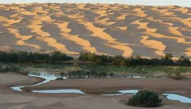 ���: ������ ���� ������� ��� 86 ������� ���� �������� ��� ����� ��������