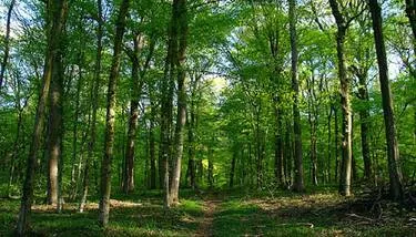  ������� ������� ������ ���������� ����������� ���� ��� ������ ����� ������� ������ ���� ���� ������� �������