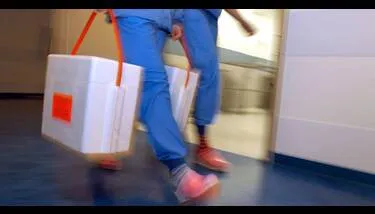 ������ ������ ������ ���� ������� ���� ������� ������ ����� ���� ����� ������� ������� ���