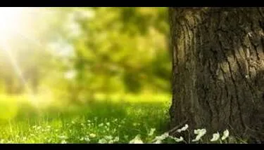 ����� .. ���� ���� �����  