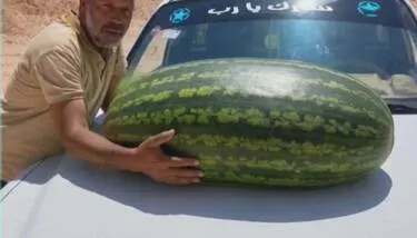 ����� ������ ��� 32 ��������� ���� ������� �� �������