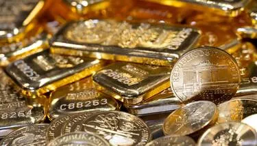  ���� ����� ������ ������� �� ����� ����� ��� ���������