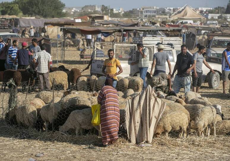 Photo Credits Yassine Gaidi /archives