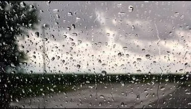 ���� ����� ���� �� ������� ��� ���� ����� ������  ���� ��24 ���� �������