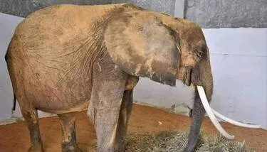 ���� ������ ������ ������ ��������� ���������� �������� �� ������ ����� ��������