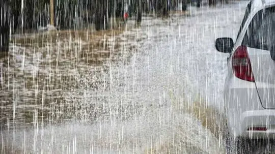 ����� ����� ����� ������ ������  ��� ������ ��� ����� �������� ����� ���� ���� ����� �������