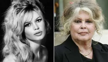 ���� ������� �������� ������ ����� �� ��� 91 �����