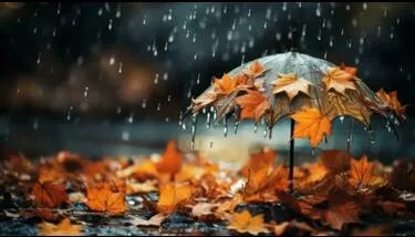 ������ �� ����: ����� ����� ����� �� ������ ������ �� ����� ������� 