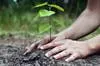 ����� ����� ������� �������� �� ��� ��� ����� ������� (������� ������ �������)