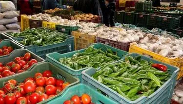  ����� 2026: ����� ������� ����� ����� ����� ������ �������� ������ ����� ��� ������ ����� ������� �������� ��������