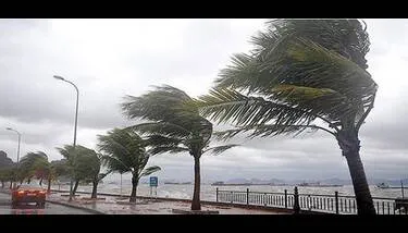 ������� �������� ���� ������ ������� ������� ��� ������� �� ���� ���� ����� ���� ����� ��������