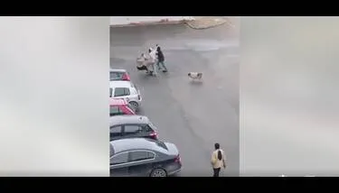 ����...  �����  ����� ���� ������� ������� �� ����� 