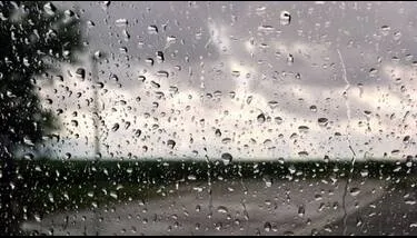 ����� ���� ���� �� �������� ���� ���24 ���� �������.. 42 ������� ������