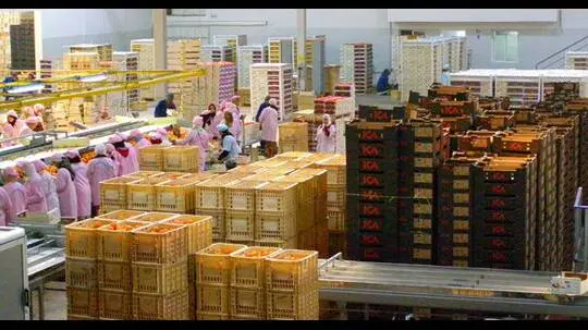   ������ ���� ���� ������ 148 ����� ����� ���� ��� ��� 23 ����� ���� ��� 2025 