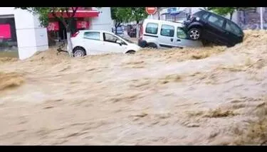  ������ ���� ������: ������� ������� �����Ʌ ���� ����� ����� ������ ��� ����� �������� ������