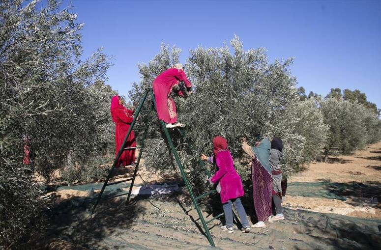 Photo Yassine Gaidi /AA