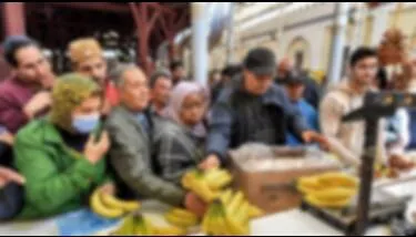 ���� ������� : ������ ����� ����� ��� ���� �� 20 ������ ��� ���� ��� ����� ���� ������� �� ��� �������