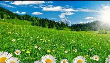 ������ ����� ������ ����� ���� �� �������� ���� ���� 2026