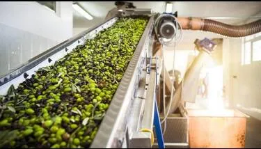 ����� ������� ������ ��� ������� ��� ����� ��������� ���� 10 ������� ����� ������ (������� ��������).