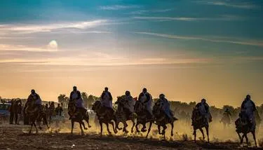 ������ ������ 57 �������� ������ ������� ����   