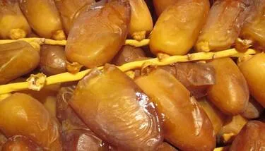 ������� ����� 2026..���� ������ ����  �� ����� ������ ��� �������� ��������� �������� �������� ��������� �������� ������ ������ 6.5 ������ �����