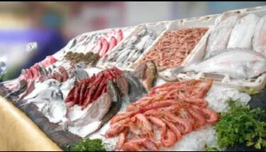 ����� ������ �������� ���� ������� �� ��� ������ ���� ������ ���� ������ 2025