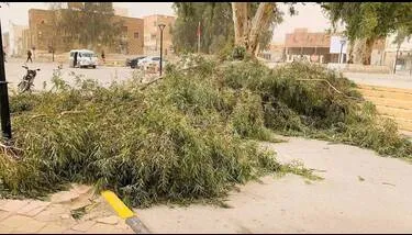 ���� ��� ������� ���� �� ������� ���������� ������ ������ �� ����� ���� ���� ���� ������ ������� ������