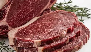 ����� ������ �� �������� ���� ��� ��� ����� ������ ������ ������� �� ������