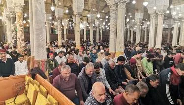 ���� ���� ����� �������� ������� ������ ����� �����