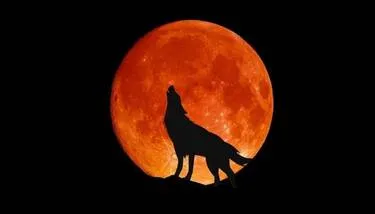 ���� ����� ������ ��� ��� ����� �� 2026  